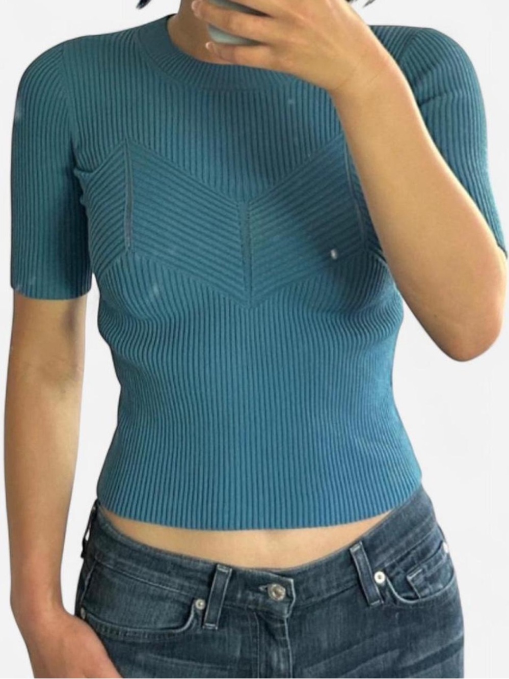 Sandro Fitted Ribbed Knit Short Sleeve Top in Teal